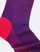 Dark Pink - Royal Blue