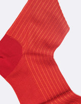 Crimson Red - Orange