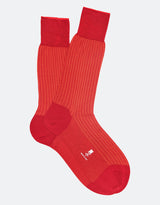 Crimson Red - Orange