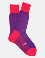 Dark Pink - Royal Blue