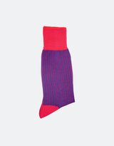 Dark Pink - Royal Blue