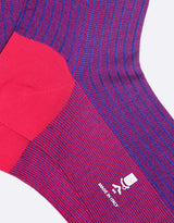 Dark Pink - Royal Blue